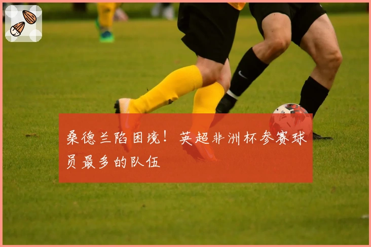 桑德兰陷困境！英超非洲杯参赛球员最多的队伍