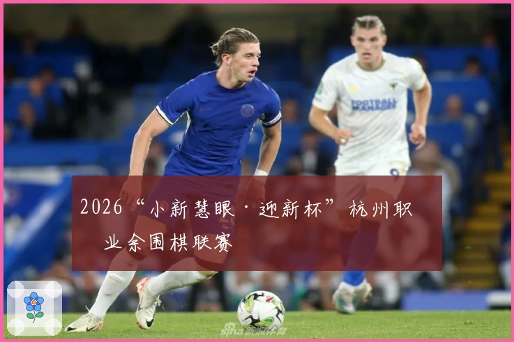 2026“小新慧眼·迎新杯”杭州职业业余围棋联赛