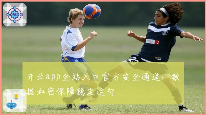 开云app全站入口官方安全通道，数据加密保障稳定运行